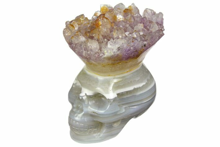 Polished Agate Skull with Amethyst Crown #149561